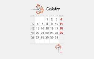 Calendrier des Tournois du BCV octobre 2026