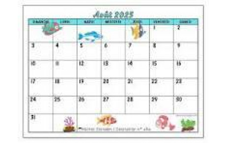 Calendrier des Tournois du BCV Août 2025